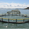 Large Deep-Sea Aquaculture Cage – Wind and Wave Resistant, Corrosion Resistant, Structurally Stable, Suitable for Open-Sea Farming