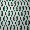 Climbing Plant Net