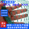 Climbing Plant Net