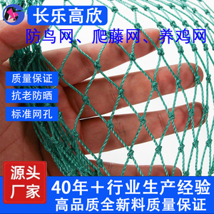 Climbing Plant Net