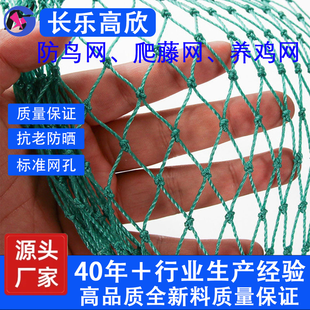 Climbing Plant Net