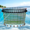 Large Deep-Sea Aquaculture Cage – Wind and Wave Resistant, Corrosion Resistant, Structurally Stable, Suitable for Open-Sea Farming