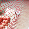 Badminton Net