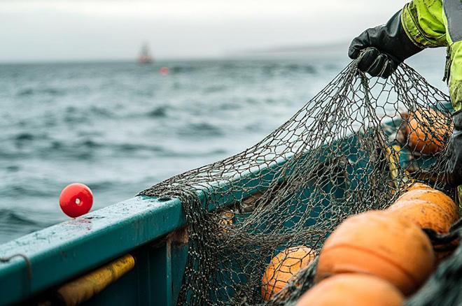 Helping with damage-free fishing and breeding