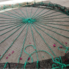 Large Deep-Sea Aquaculture Cage – Wind and Wave Resistant, Corrosion Resistant, Structurally Stable, Suitable for Open-Sea Farming