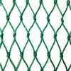 Climbing Plant Net